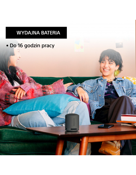 Głośnik Bluetooth SONY | SRS-XB100H Jasnoszary