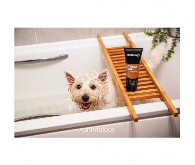 Szampon dla psów Animology Derma Dog Sensitive Skin 250 ml