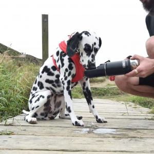 Butelka 2-w-1 dla psa KONG Trek & Treat 2