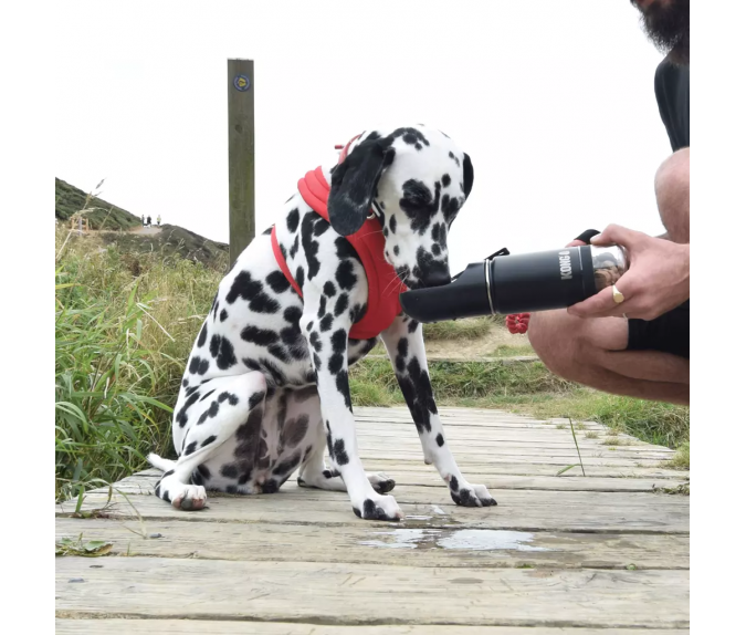 Butelka 2-w-1 dla psa KONG Trek & Treat