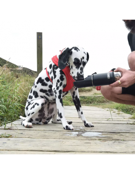 Butelka 2-w-1 dla psa KONG Trek & Treat