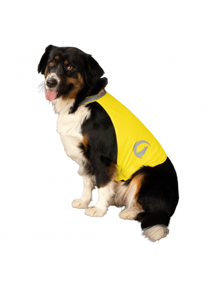 Regulowana odblaskowa kamizelka dla psa Nightwalk Safety Vest