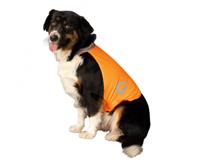 Regulowana odblaskowa kamizelka dla psa Nightwalk Safety Vest