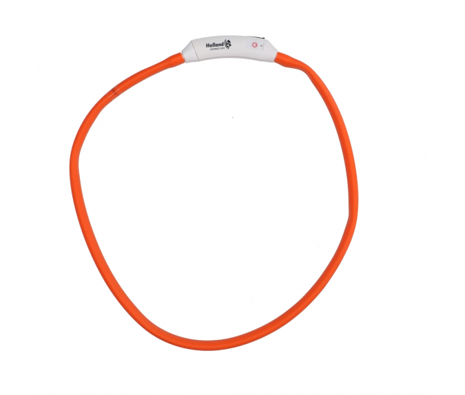 Świecąca obroża One Size Nightwalk Safety Collar