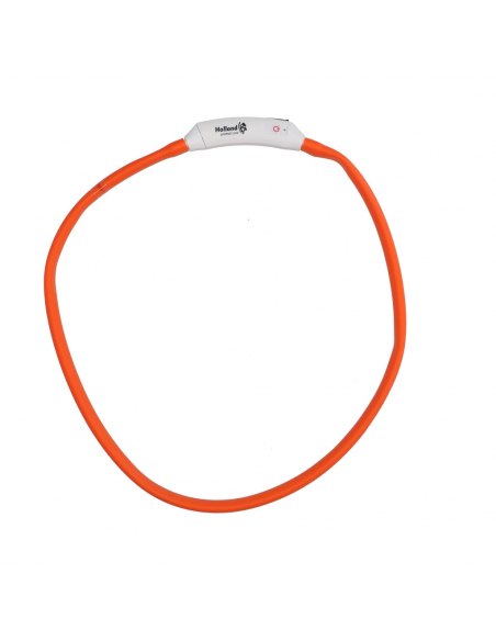 Świecąca obroża One Size Nightwalk Safety Collar