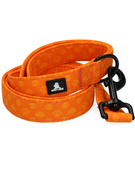 Smycz dla psów Spotted! Pro Perfect Leash 1.2 m