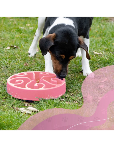 Miska spowalniająca jedzenie Eat Slow Live Longer S