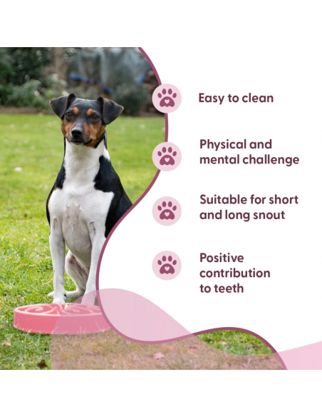 Miska spowalniająca jedzenie Eat Slow Live Longer S