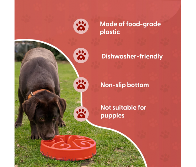 Miska spowalniająca jedzenie Eat Slow Live Longer S