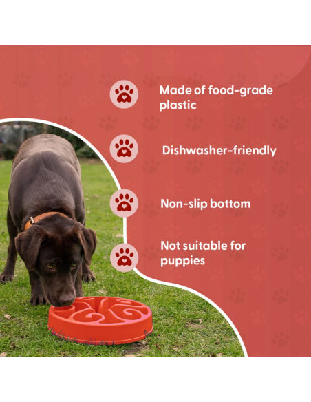 Miska spowalniająca jedzenie Eat Slow Live Longer S