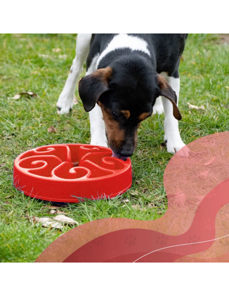 Miska spowalniająca jedzenie Eat Slow Live Longer S