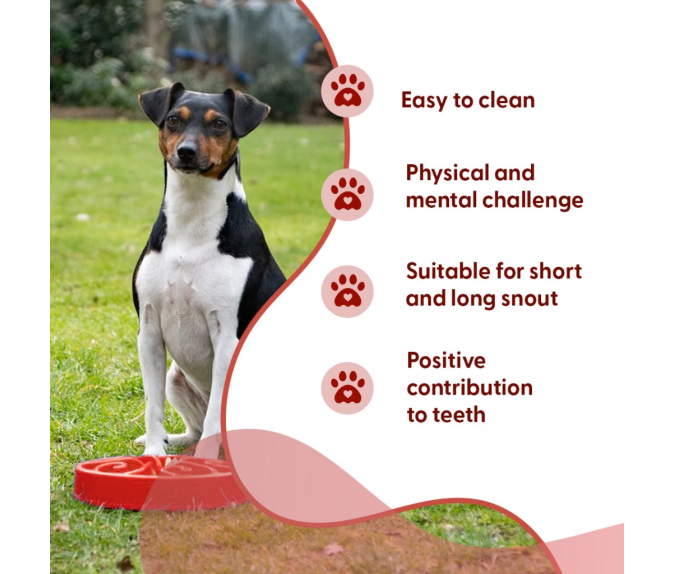 Miska spowalniająca jedzenie Eat Slow Live Longer S