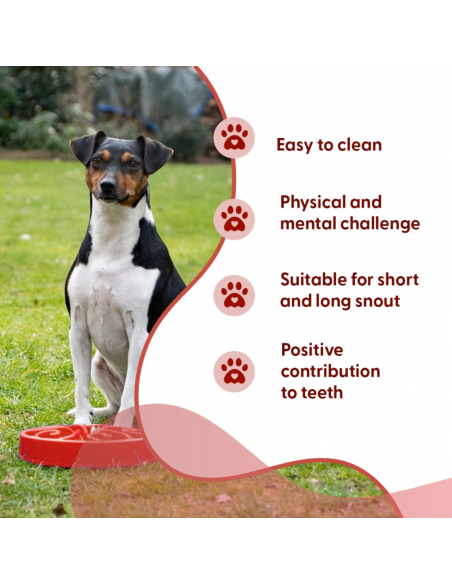 Miska spowalniająca jedzenie Eat Slow Live Longer S