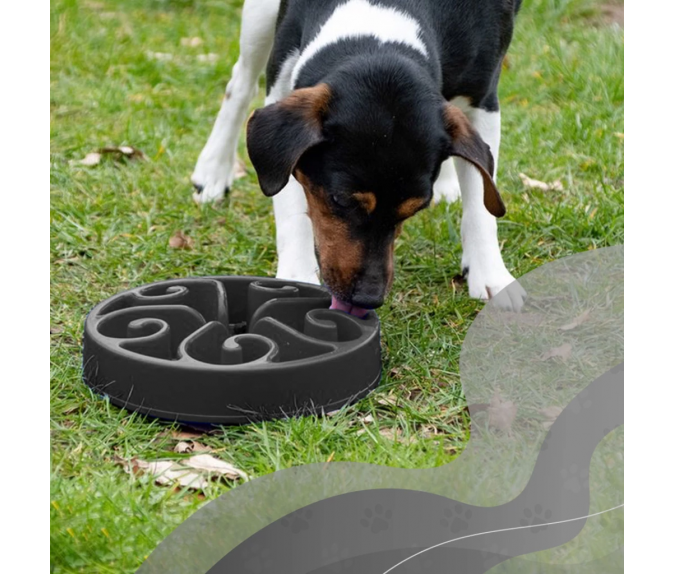 Miska spowalniająca jedzenie Eat Slow Live Longer S