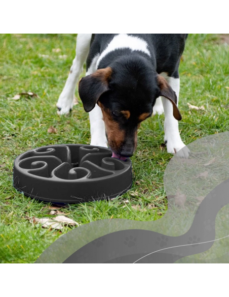 Miska spowalniająca jedzenie Eat Slow Live Longer S