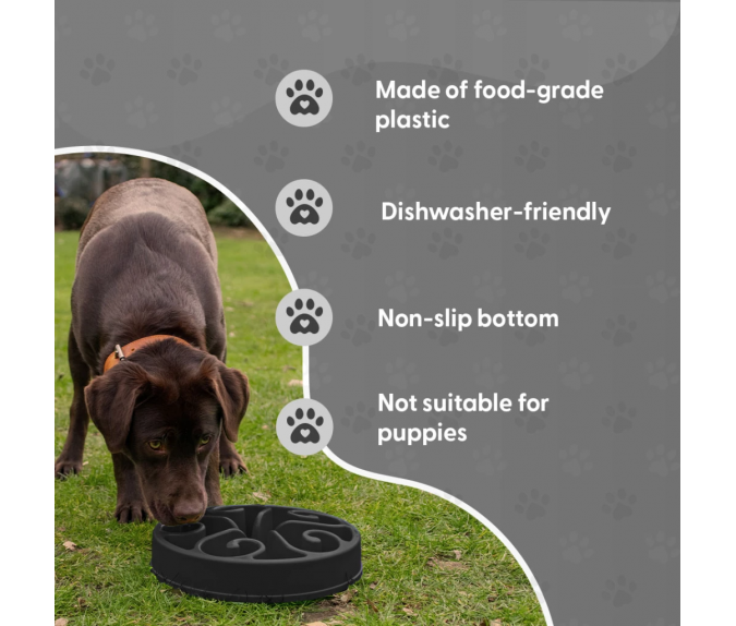 Miska spowalniająca jedzenie Eat Slow Live Longer S