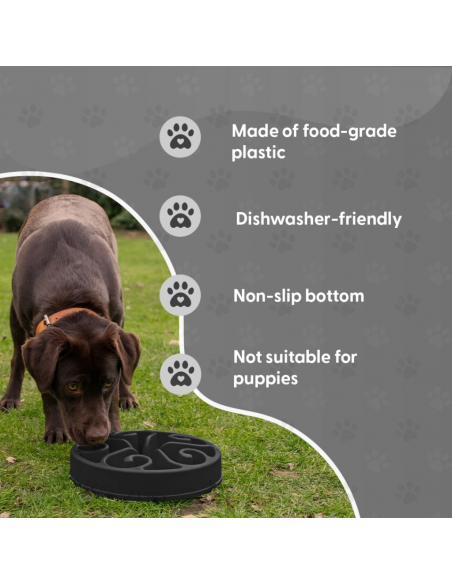 Miska spowalniająca jedzenie Eat Slow Live Longer S