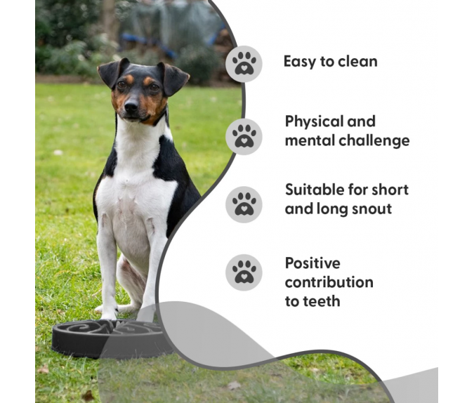 Miska spowalniająca jedzenie Eat Slow Live Longer S