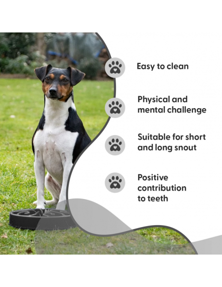 Miska spowalniająca jedzenie Eat Slow Live Longer S