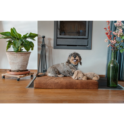 Ortopedyczny materac dla psa Let’s Sleep Mellow Mattress 2