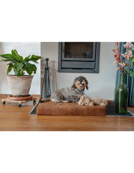 Ortopedyczny materac dla psa Let’s Sleep Mellow Mattress