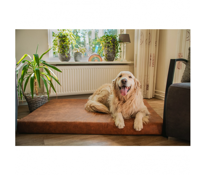 Ortopedyczny materac dla psa Let’s Sleep Mellow Mattress