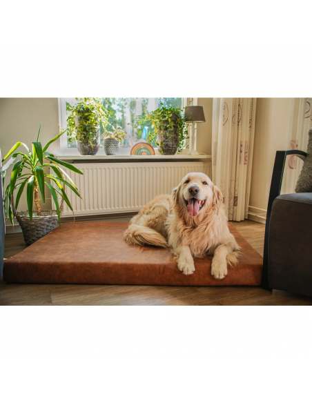 Ortopedyczny materac dla psa Let’s Sleep Mellow Mattress