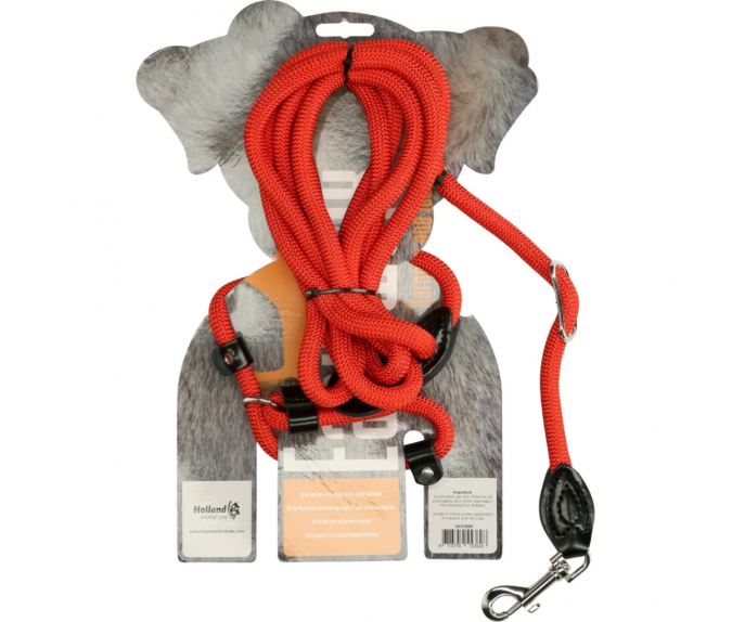 Smycz i szelki 2-w-1 dla psów Easy Walk Shoulder Model Red