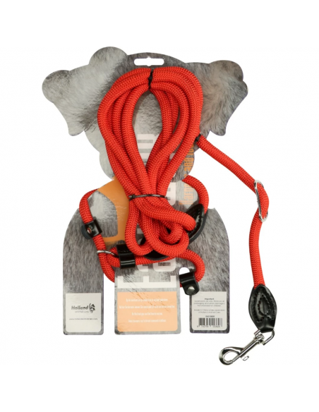 Smycz i szelki 2-w-1 dla psów Easy Walk Shoulder Model Red