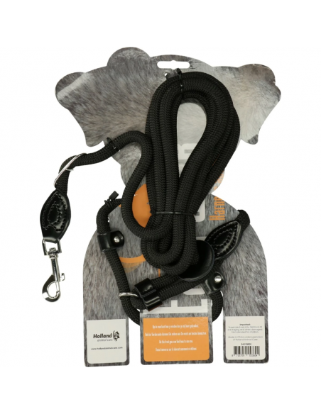 Smycz i szelki 2-w-1 dla psów Easy Walk Shoulder Model Red