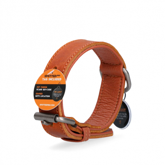 Obroża skórzana Spotted! Pro z cyfrowym nadajnikiem 2