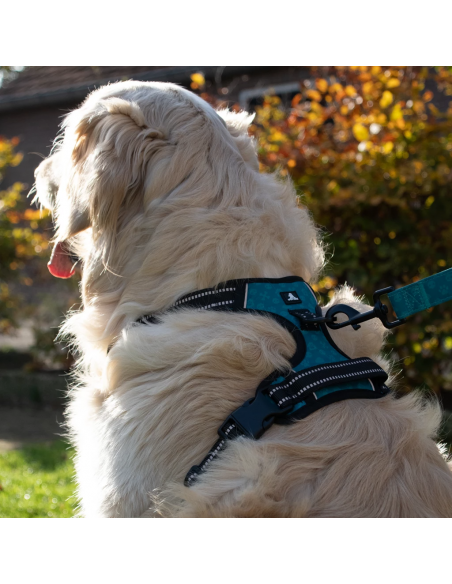 Szelki Spotted! Pro NO-PULL z cyfrowym identyfikatorem