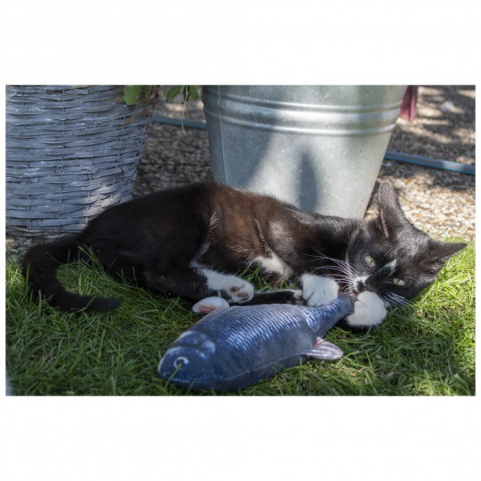 Interaktywna rybka dla kota z portem USB Robocat Goldfish